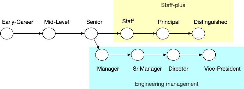 The two post-senior career paths are staff-plus and engineering management.