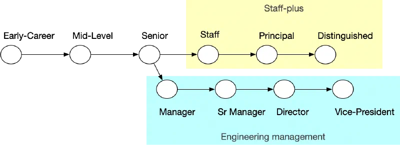 The two post-senior career paths are staff-plus and engineering management.
