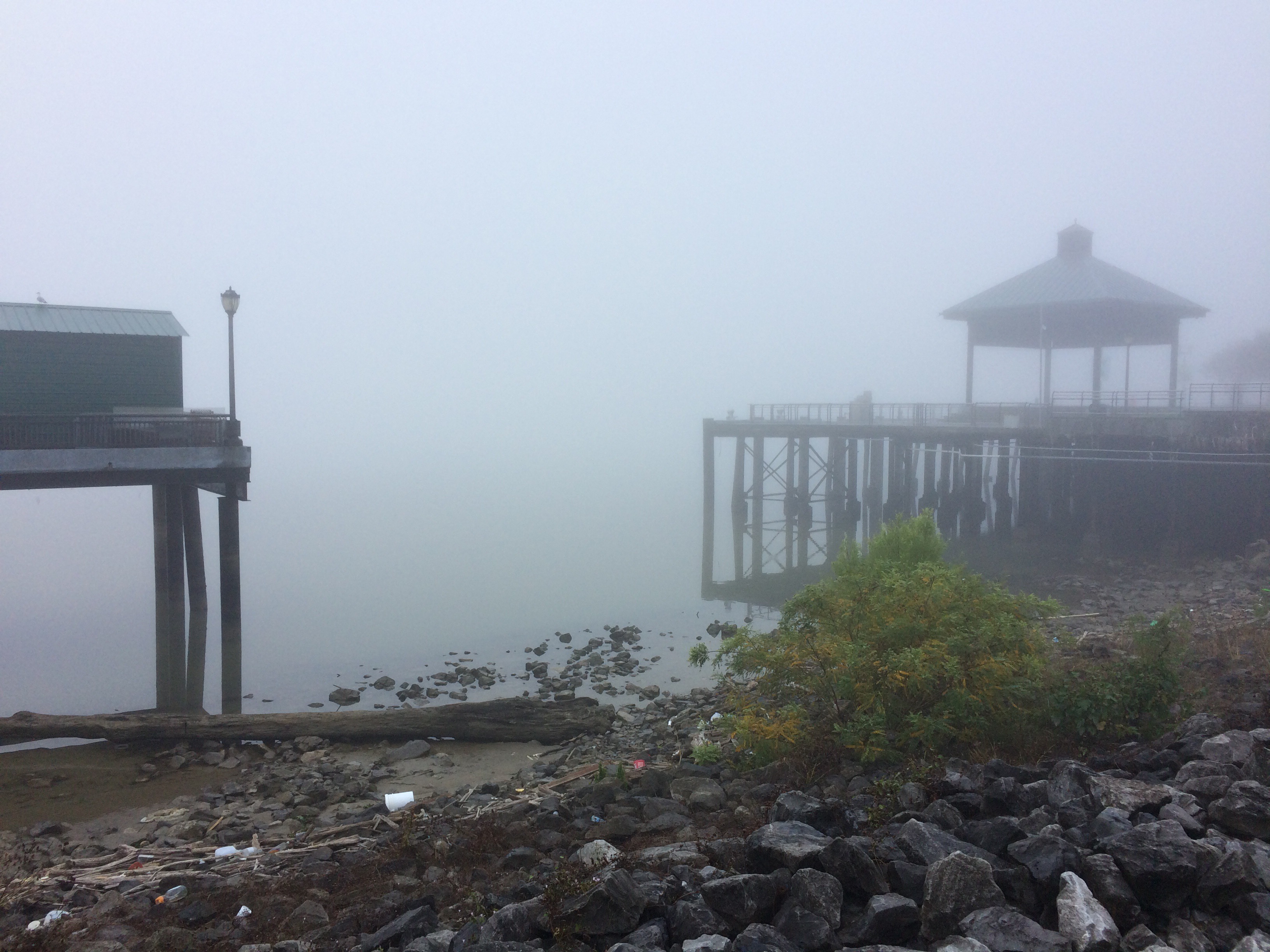 Fog at the dock