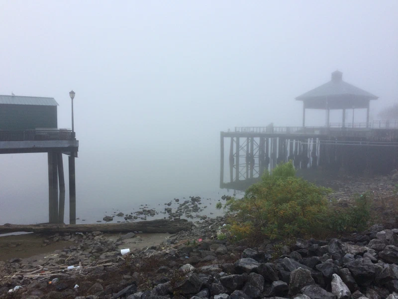 Fog at the dock