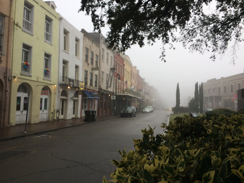 Fog on the street