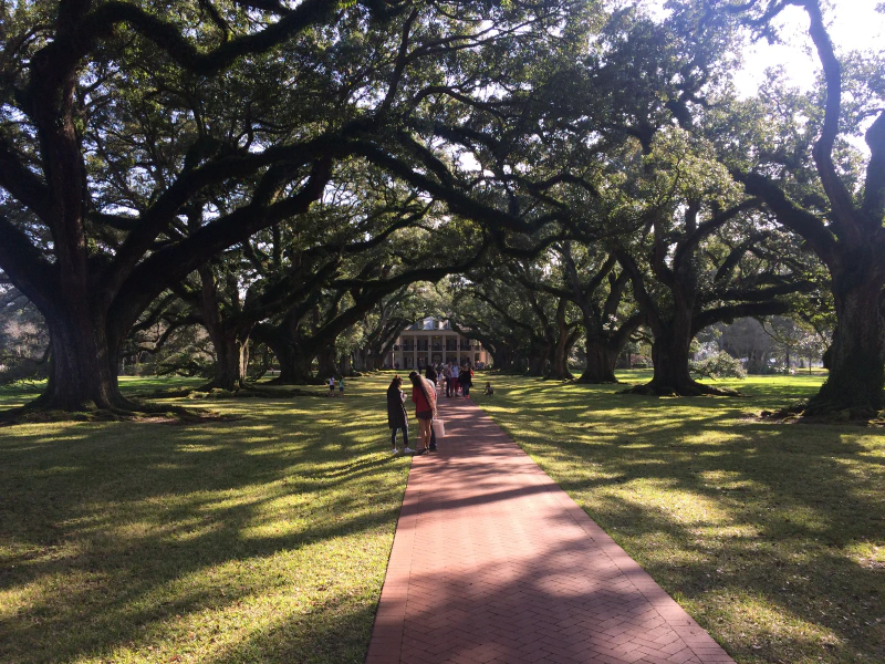 Oak Alley