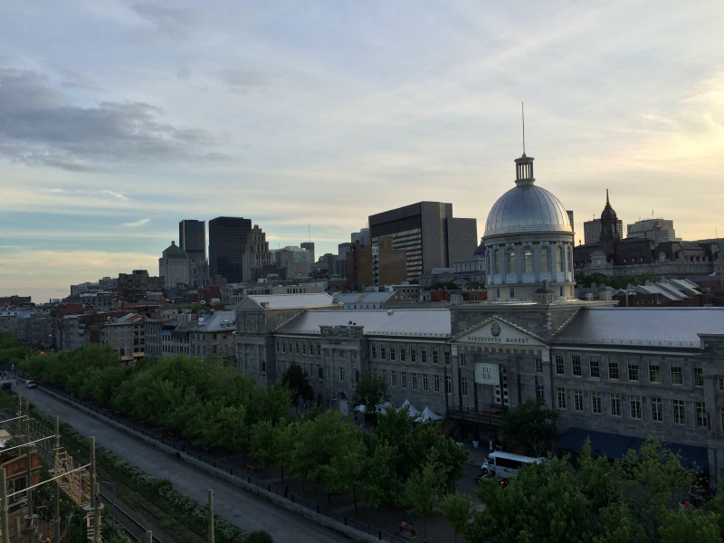 View from the zipline tower