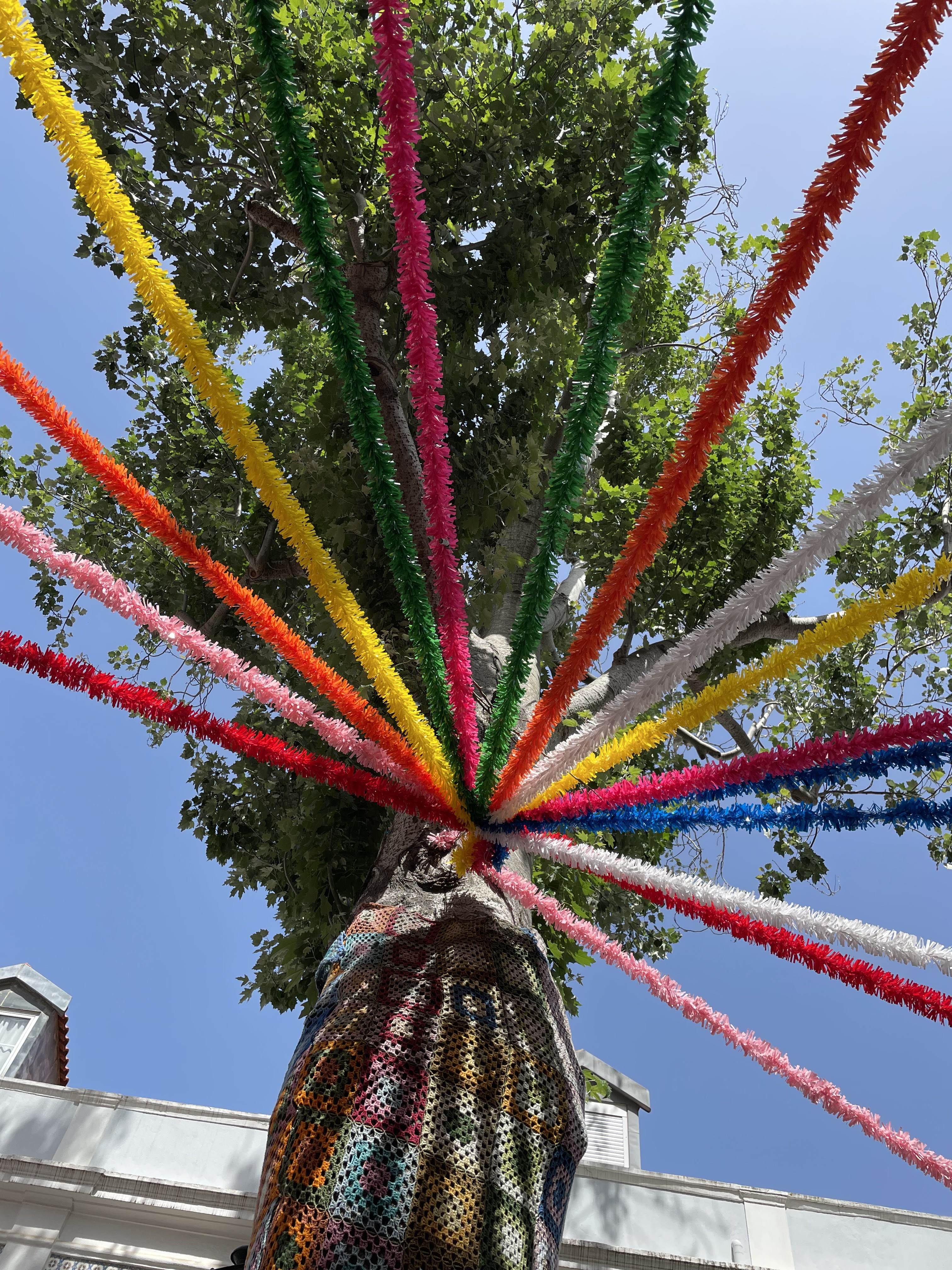 Colorful decorations attached to a tree in the Alfama district.