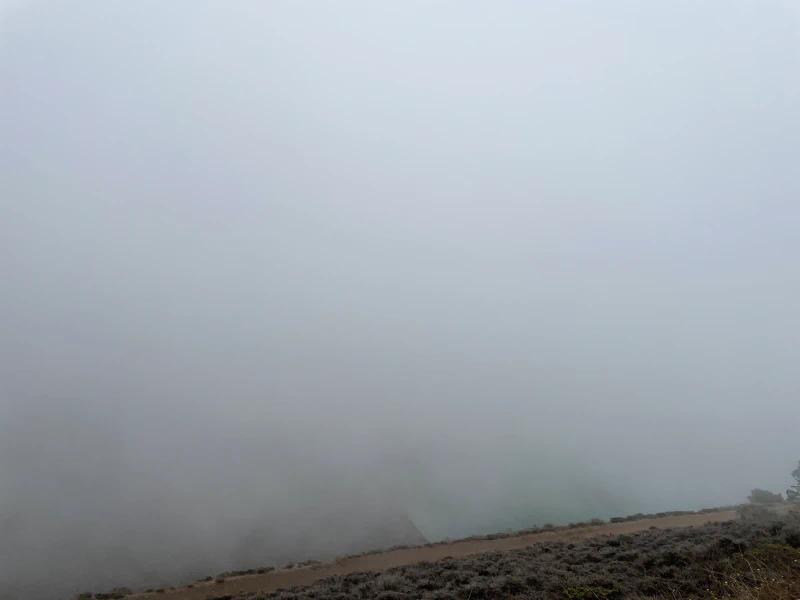 I know that there was water somewhere in that direction, because we could hear fog horns below us. But I have no idea if my shot would have even had the bridge in view if it wasn’t covered in fog 😂