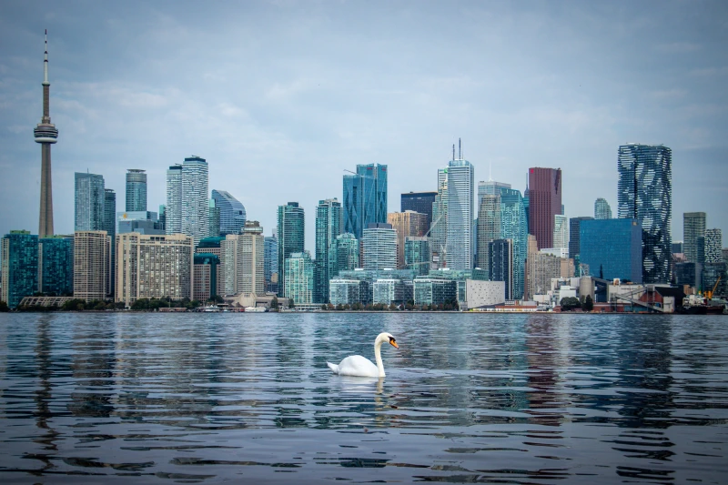 The view of Toronto across the bay was fantastic!