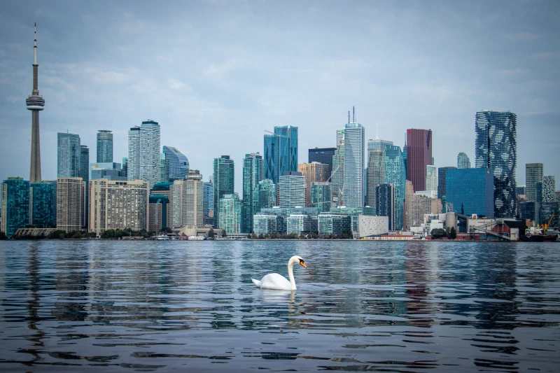 The view of Toronto across the bay was fantastic!